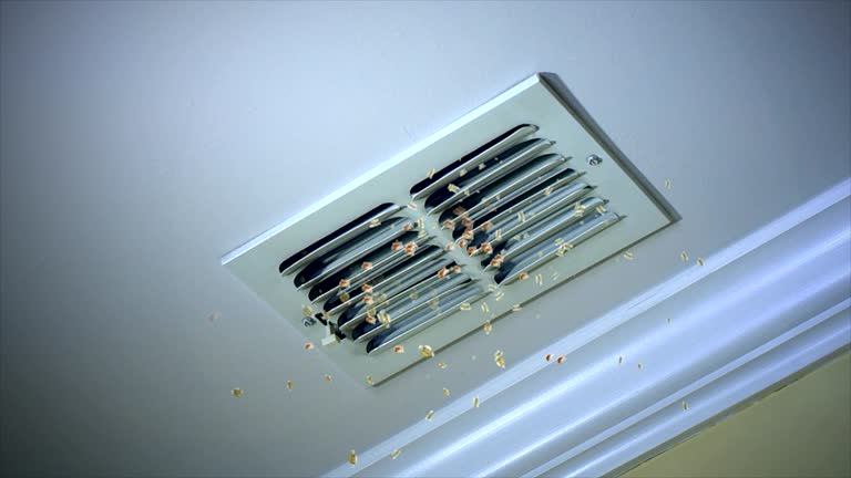 Best Residential Air Duct Cleaning  in Miami Springs, FL